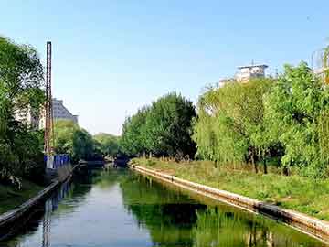 没有基础学习日语（日语没有基础可以去上大学吗）